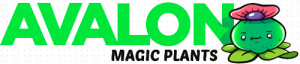 Avalon Magic Plants Promo Codes